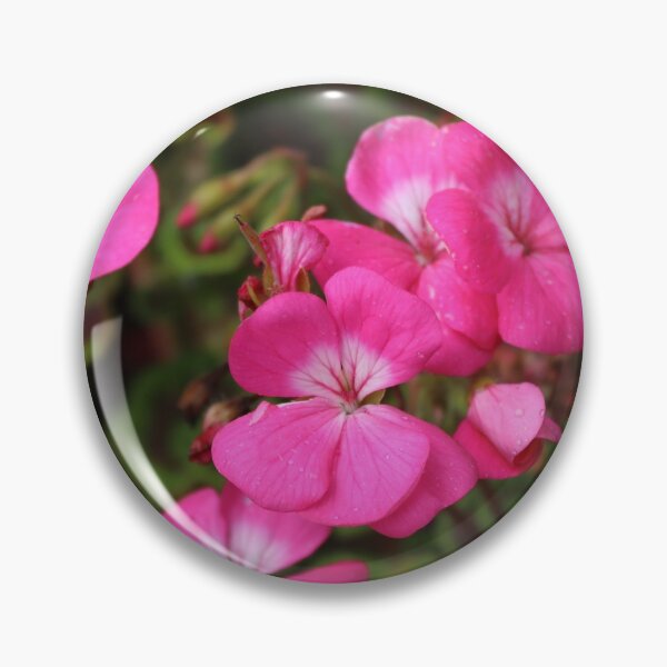 Item preview, Pink Horseshoe Geranium  designed and sold by JW-Fotographs.