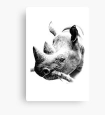 Rhino in Pencil Canvas Print
