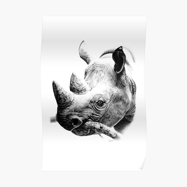 Rhino in Pencil Poster