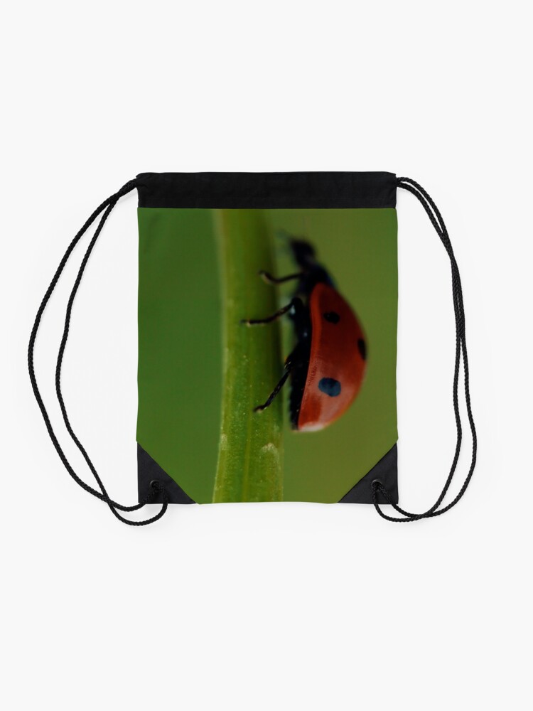 Ladybird, Macro, Still Life, Fine Art, Print, Ladybug climbing leaf, Nature  Drawstring Bag for Sale by Steven Revia