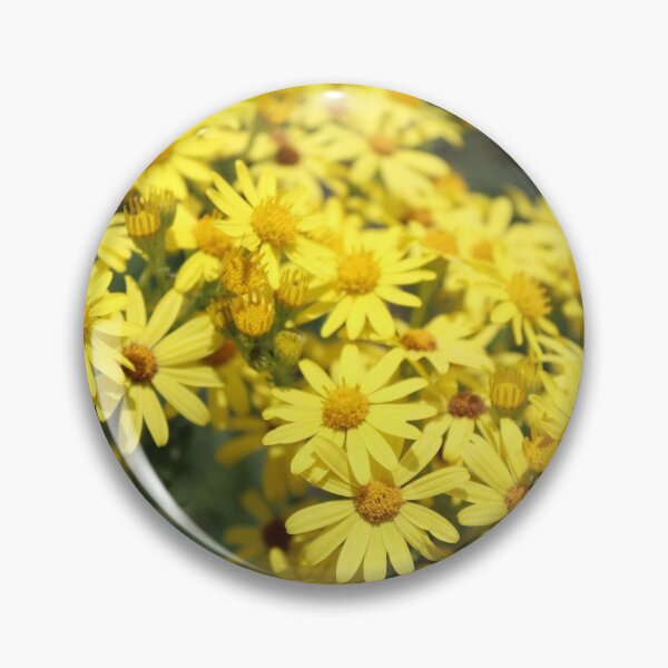 Item preview, Yellow Tansy Ragwort designed and sold by JW-Fotographs.
