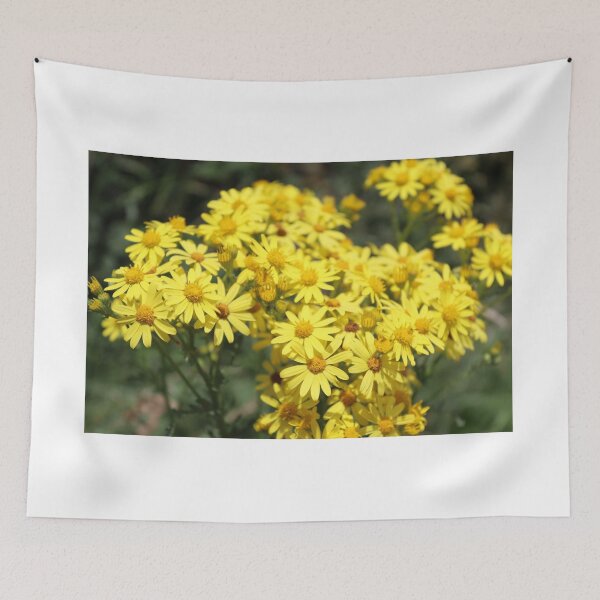 Item preview, Yellow Tansy Ragwort designed and sold by JW-Fotographs.