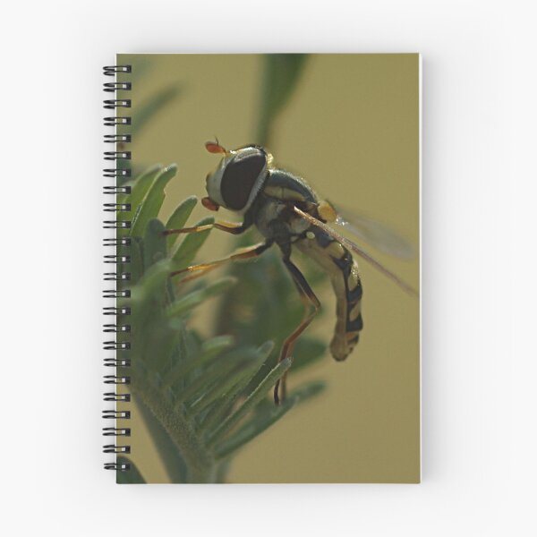 Item preview, Hover Fly designed and sold by Paul Chubb.
