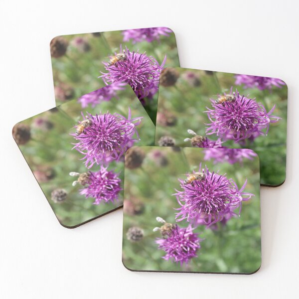 Item preview, Purple Greater Knapweed designed and sold by JW-Fotographs.