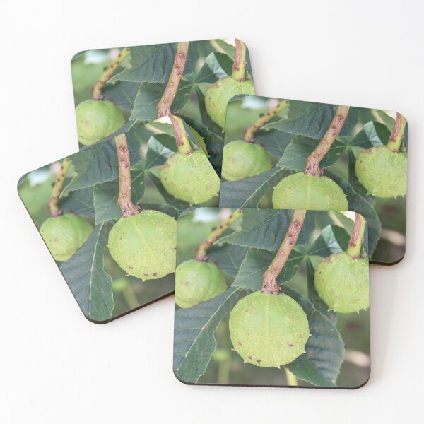 Item preview, Horse Chestnut - Buckeye designed and sold by JW-Fotographs.