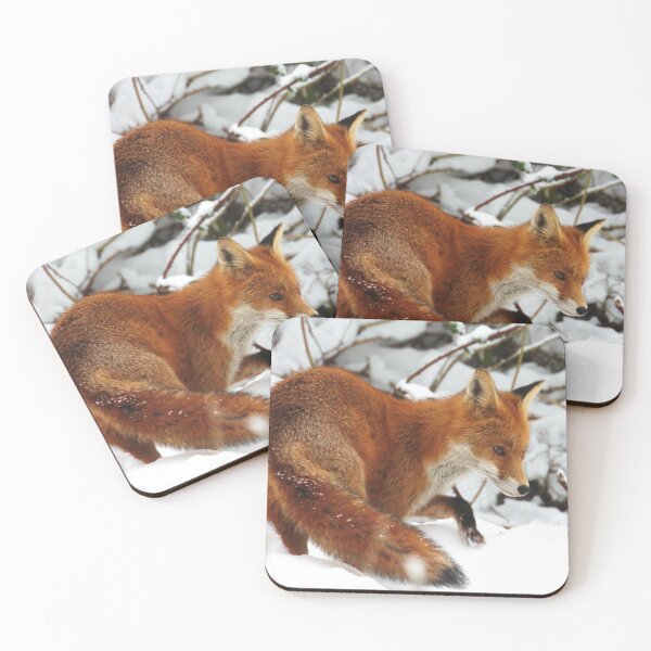 Item preview, The Snow Fox designed and sold by ROSS LAWFORD.