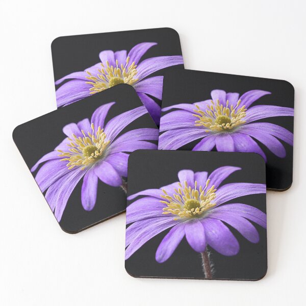 Item preview, Anemone designed and sold by OpalFire.