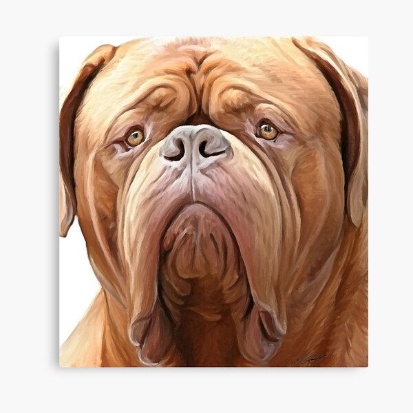 Item preview, dogue de bordeaux ( french Mastiff) designed and sold by Cazzie Cathcart.