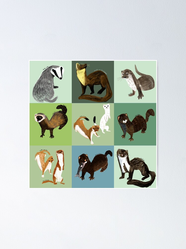 Lovely ferrets Jigsaw Puzzle by belettelepink