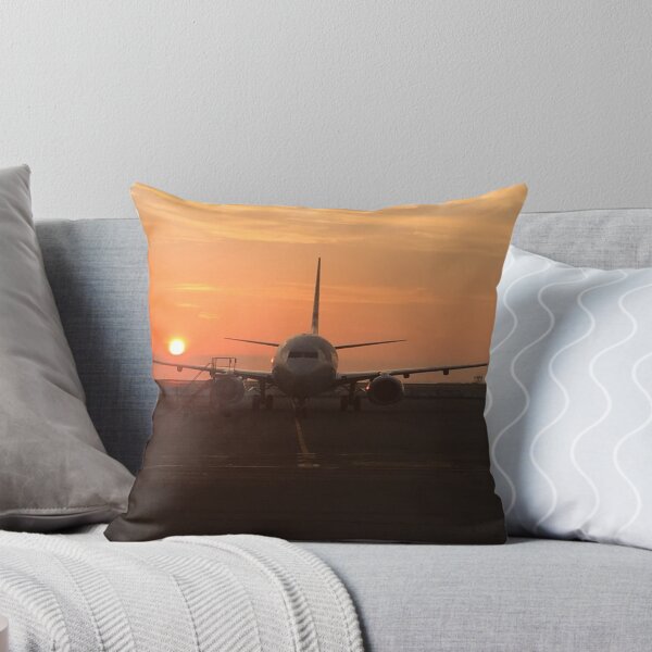 Item preview, B737 Ready to Go! designed and sold by acftmxman.