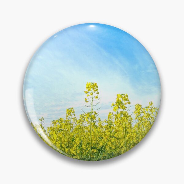 Item preview, Canola in flower...... designed and sold by mitpjenkeating.
