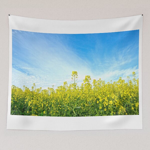Item preview, Canola in flower...... designed and sold by mitpjenkeating.