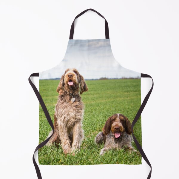 Item preview, Italian Spinone Dogs Luca and Nico by heidiannemorris designed and sold by FOLK ART FUSION by heidiannemorris.