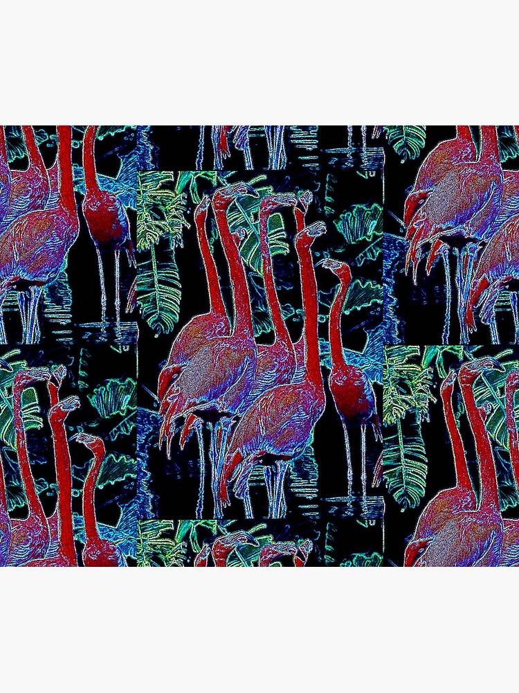 FLAMINGOS by michaeltodd