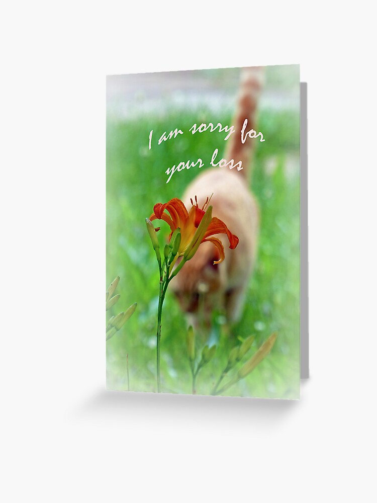 Tarjetas De Felicitacion I Am Sorry For Your Loss Card De Frankiecat Redbubble