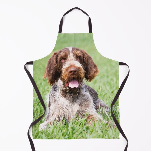 Item preview, Lying in the grass Spinone by heidiannemorris designed and sold by FOLK ART FUSION by heidiannemorris.
