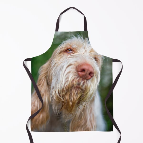 Item preview, Daydreaming Spinone designed and sold by FOLK ART FUSION by heidiannemorris.