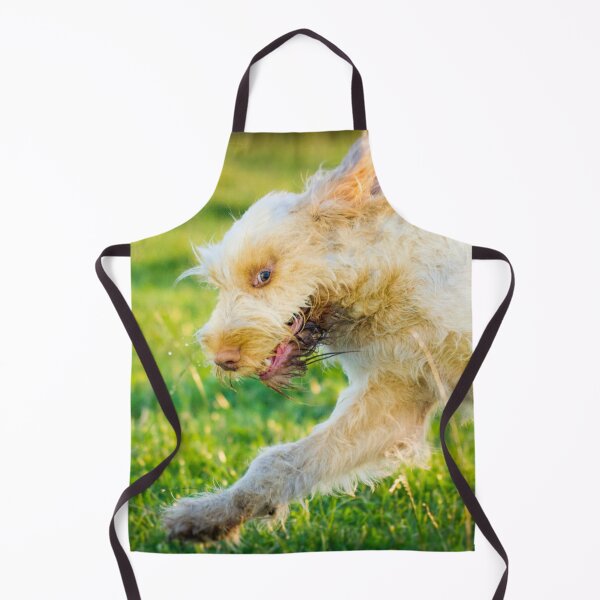 Item preview, Chase me Spinone designed and sold by FOLK ART FUSION.