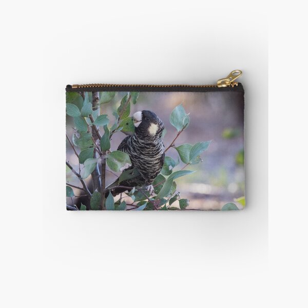Item preview, Carnaby's black cockatoo eating hakea seeds designed and sold by ceiicileb.