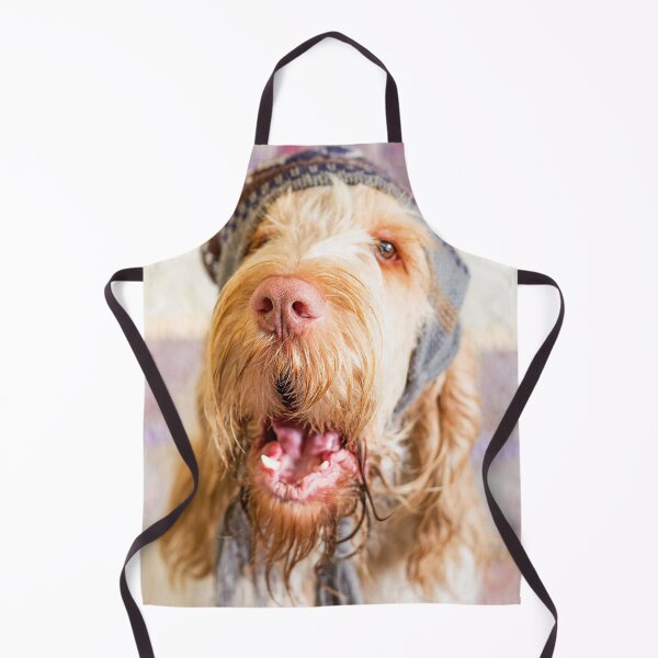 Item preview, Sombrero hablador Spinone designed and sold by FOLK ART FUSION by heidiannemorris.