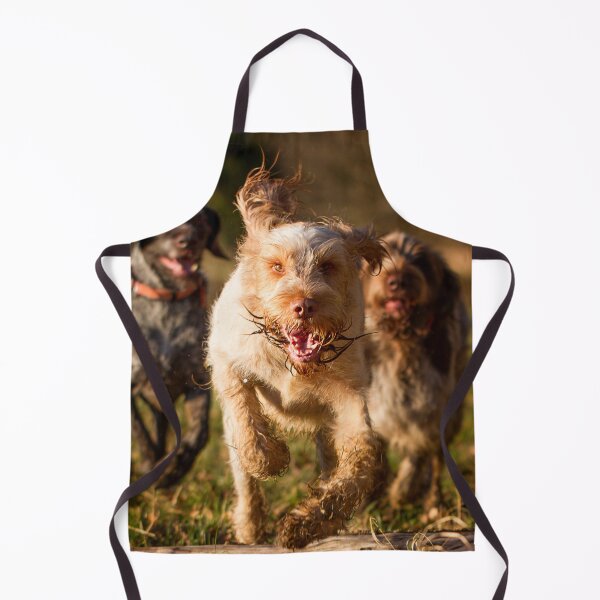 Item preview, Happy to see you Spinone by heidiannemorris designed and sold by FOLK ART FUSION by heidiannemorris.