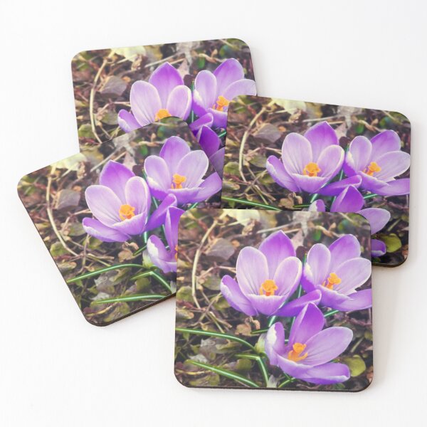 Item preview, Purple crocus designed and sold by PhotosMagirard.