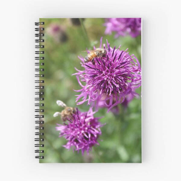 Item preview, Purple Greater Knapweed designed and sold by JW-Fotographs.