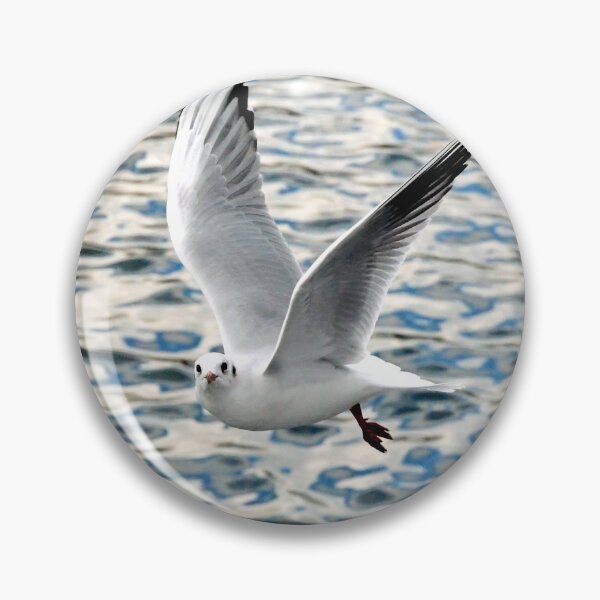 Item preview, The Ring Billed Gull designed and sold by Frank  Irwin.