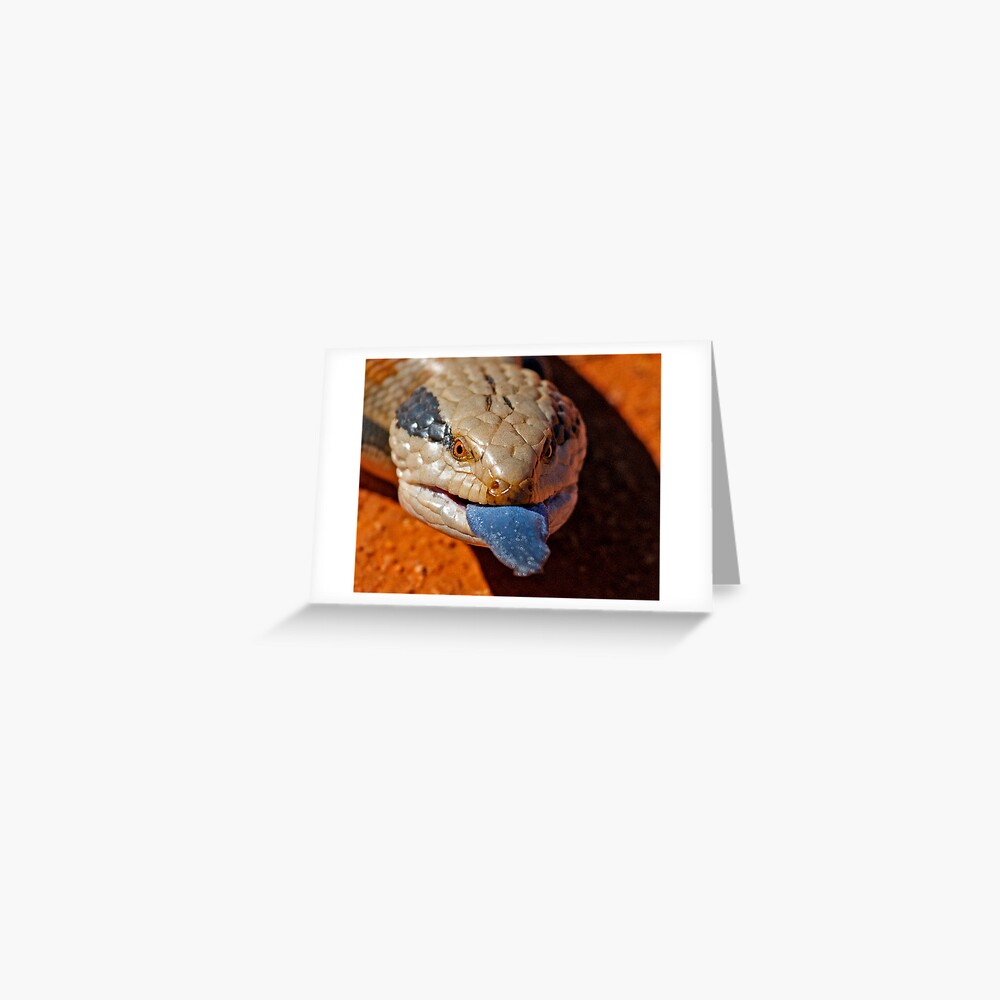 Blue Tongue Lizard Greeting Card