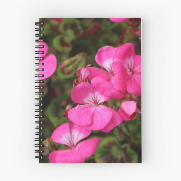 Item preview, Pink Horseshoe Geranium  designed and sold by JW-Fotographs.