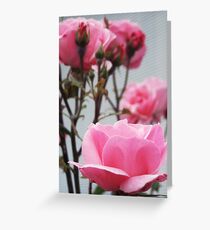 Fore Aft Greeting Card