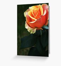 Glow Greeting Card