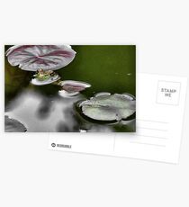Froggie Postcards