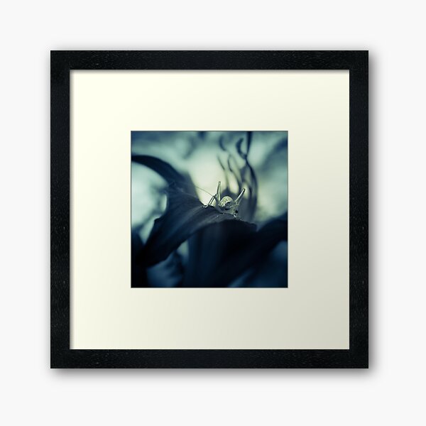 Here's looking at you, Kid (2. version) Framed Art Print