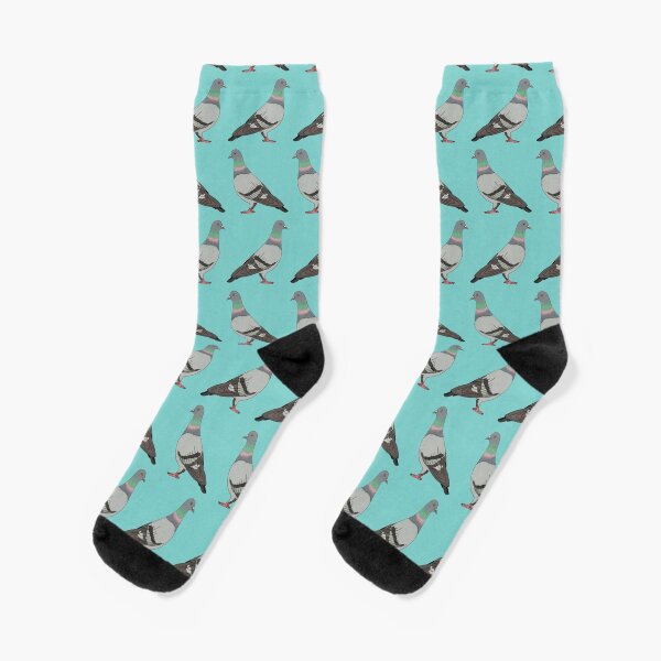 pigeon walk 2020, blue background Socks