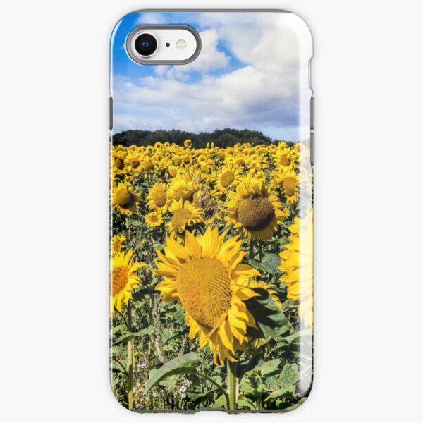 Field Of Sunflowers With A Blue Sky And Clouds iPhone Tough Case