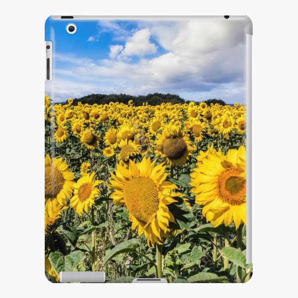 Field Of Sunflowers With A Blue Sky And Clouds iPad Snap Case