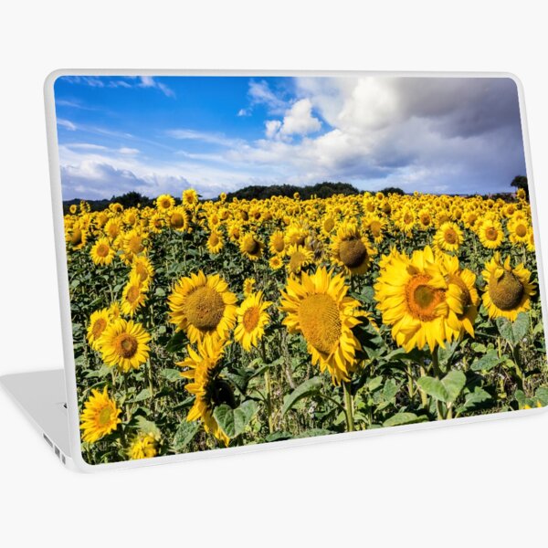 Field Of Sunflowers With A Blue Sky And Clouds Laptop Skin