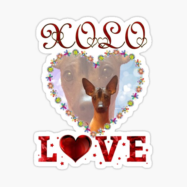Item preview, Xolo perro amor designed and sold by Xolo-Rescue.