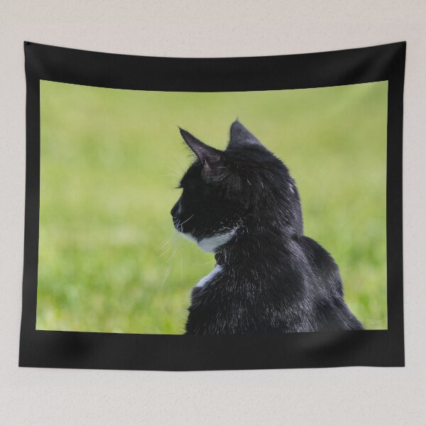 Item preview, Kitty On The Lookout designed and sold by mljdwhite.