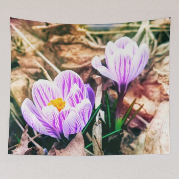 Item preview, pink crocus designed and sold by PhotosMagirard.
