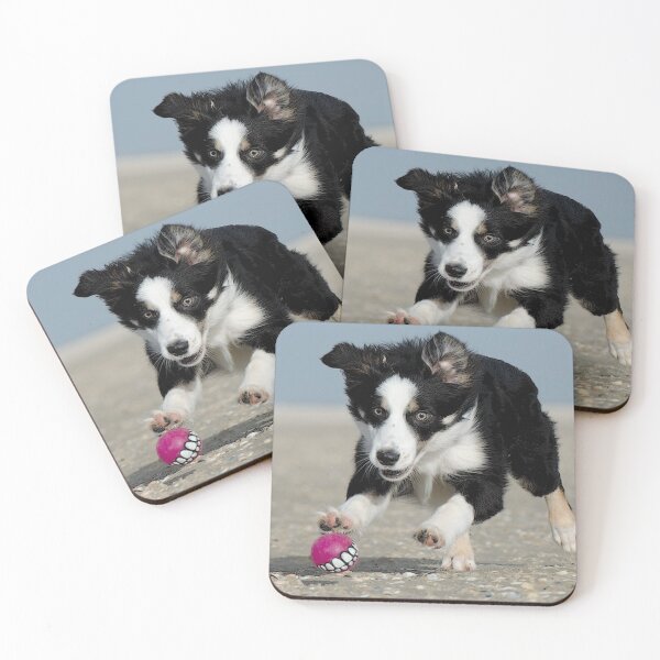 Aperçu de l'œuvre Border Collie ludique créée et vendue par LydiasPlace.