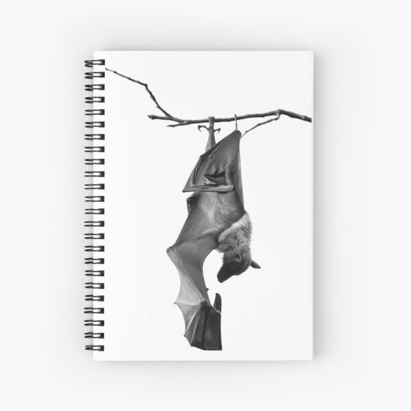Item preview, Batzilla the flying fox designed and sold by OneTimeEngineer.