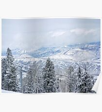 Colorado Rockies Poster