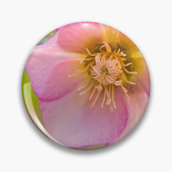 Aperçu de l'œuvre Hellebore créée et vendue par VBMatossy.