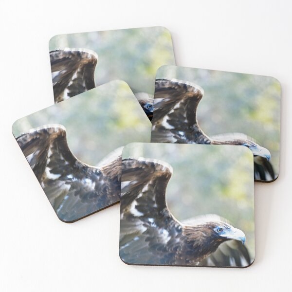 Item preview, Eagle - Raptor Domain, Kangaroo Island, South Australia designed and sold by imaginethis.