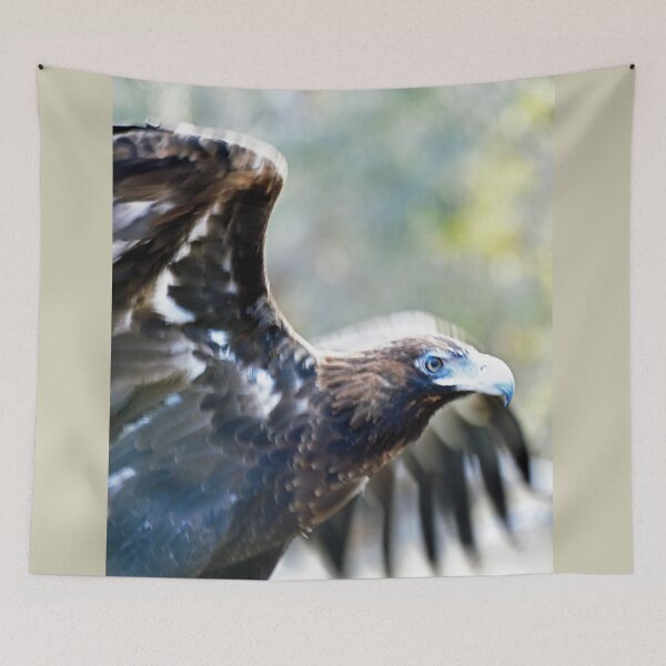 Item preview, Eagle - Raptor Domain, Kangaroo Island, South Australia designed and sold by imaginethis.