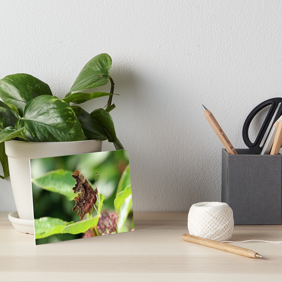 Item preview, Art Board Print designed and sold by cuprum.