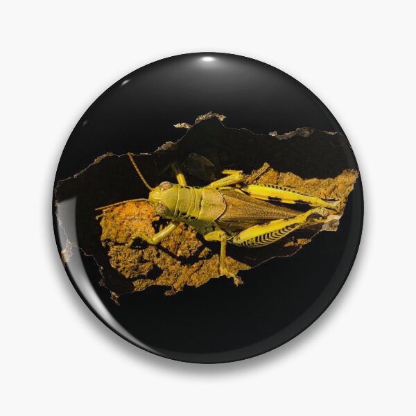 Item preview, Grasshopper in a hole designed and sold by homesteadswag.