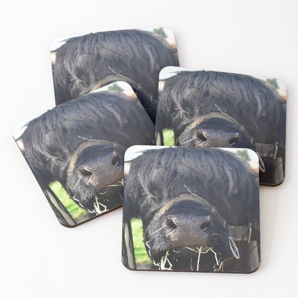 Aperçu de l'œuvre Moo !!! Aimer les vaches créée et vendue par Glineur.